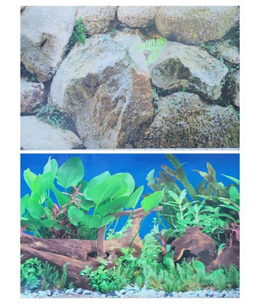 KW Zone Aquarium Backscreen (Picture) 19